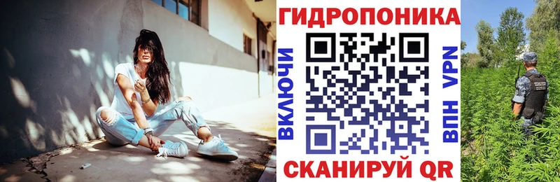 Бошки марихуана гибрид  Окуловка 